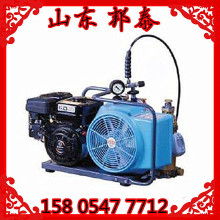 車載充氣泵 行車必備神器，安全出行的得力助手